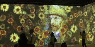 Van Gogh sueño inmersivo