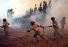 Incendios forestales en zona centro sur de Chile dejan al menos cuatro muertos