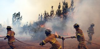 Incendios forestales en zona centro sur de Chile dejan al menos cuatro muertos