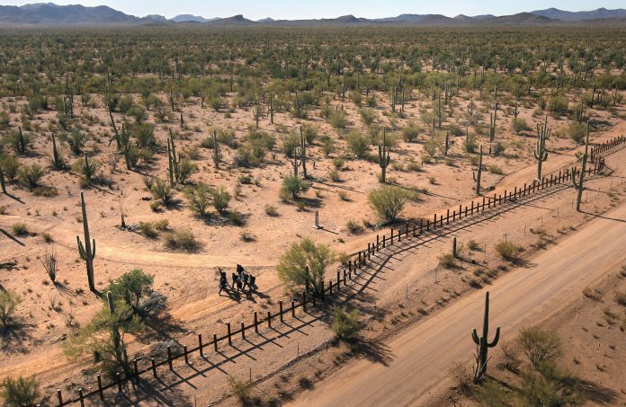 desierto de Arizona