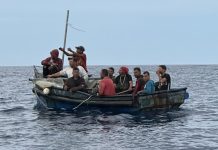 Sur de florida migrantes