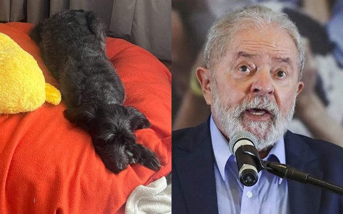Resistencia Lula