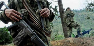 disidencias de las FARC