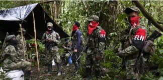 Colombia cese al fuego