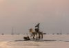 Reuters: Pdvsa endurece los términos para el pago anticipado de petróleo