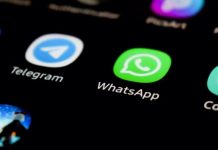 WhatsApp Newsletter