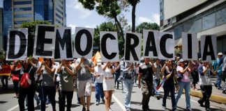 ong latinoamérica democracia