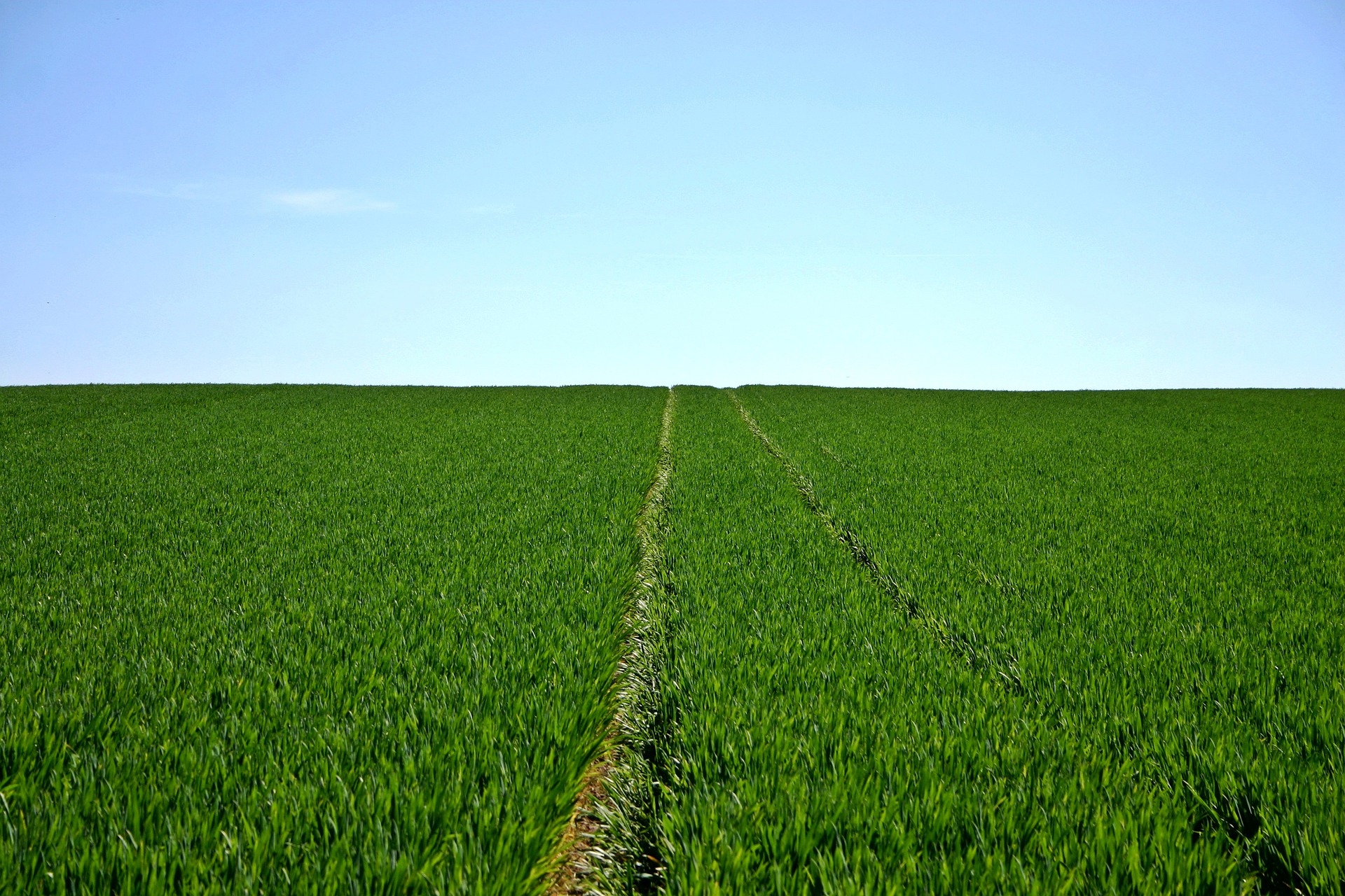 La tecnología que está revolucionando el campo en Latinoamérica