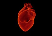 corazón