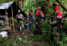 La guerrilla y bandas delictivas aumentaron sus acciones en estados fronterizos de Venezuela