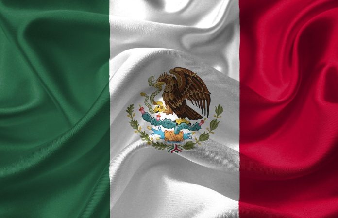 Hallan cinco cadáveres en camioneta en Guanajuato, México