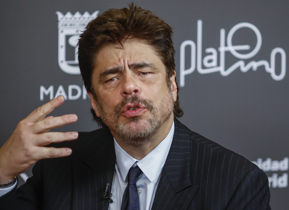 Benicio del Toro