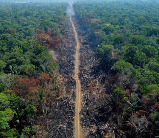cambio climático en la Amazonía