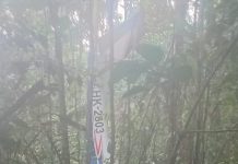 Niños perdidos en selva colombiana podrían estar en manos de un duende según un tío