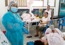 Perú dengue