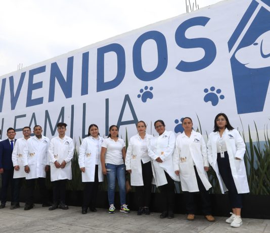 hotel para perros y gatos