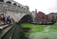 Gran Canal de Venecia verde fluorescente