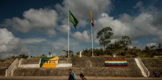 Venezolanos en Brasil ya pueden tramitar citas de apostilla: ¿cómo es el proceso?