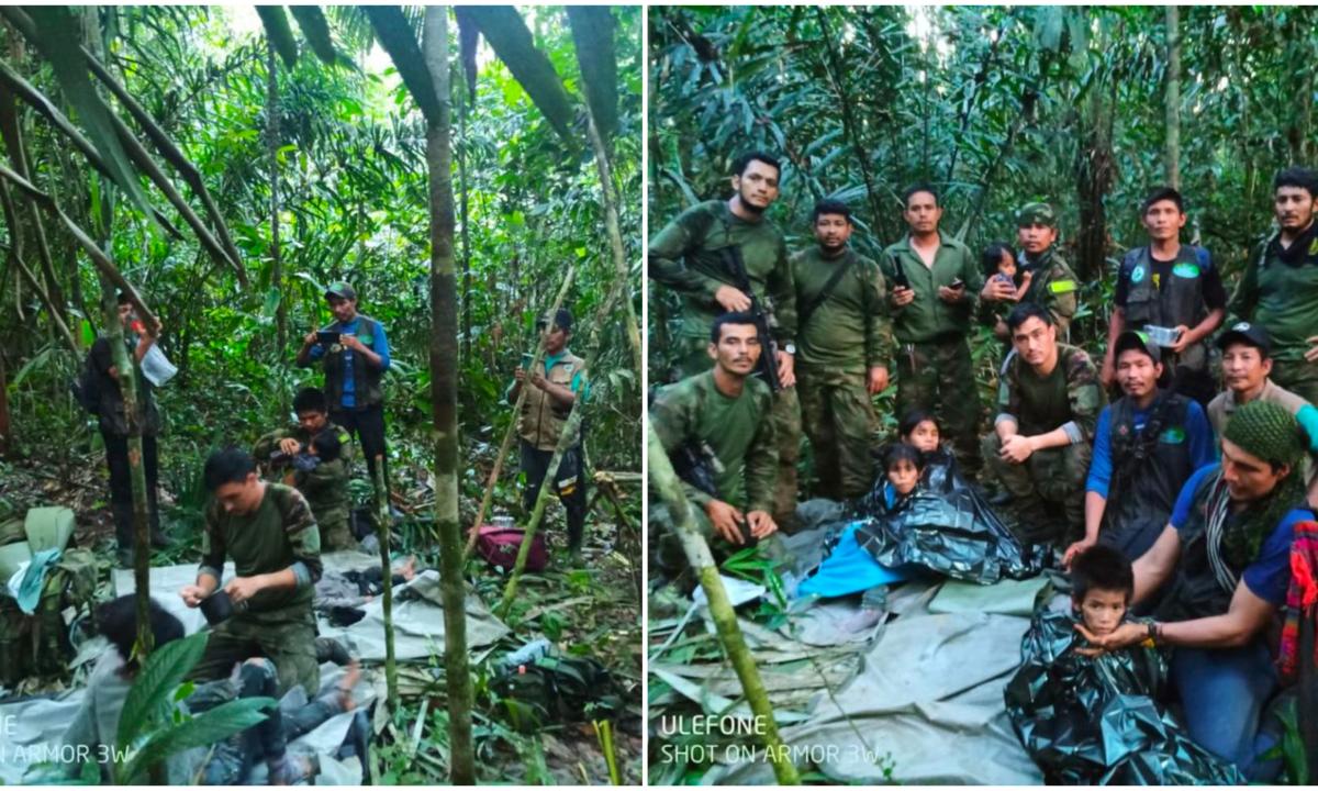 Найдены четверо детей. Четверо детей найдены в джунглях в Колумбии. Джунгли для детей. Джунгли Колумбии.
