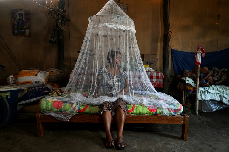 Dengue desbordado: ¿qué falló para que Perú sufriera el peor pico de casos de los últimos años?