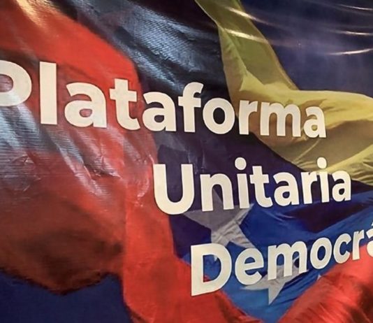 Plataforma Unitaria agradeció apoyo de senadores estadounidenses a las primarias de octubre, Rosales, González Urrutia