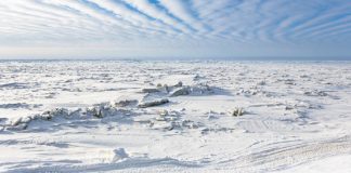 Plataforma de Hielo en la Antártida creció