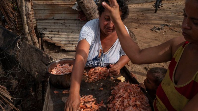 Economía de Venezuela: cómo la industria camaronera está transformando el Lago de Maracaibo, el mayor símbolo de la bonanza petrolera del país