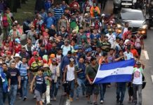 OIM Migrantes Honduras