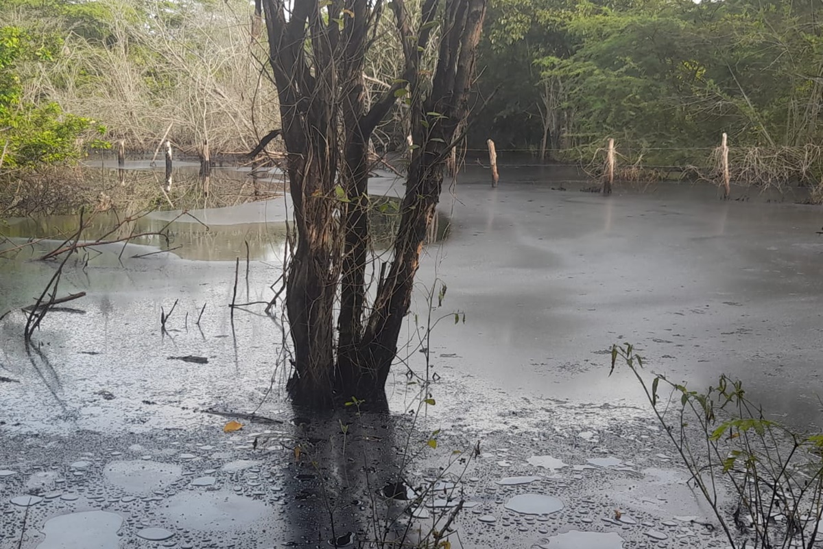 Indígenas denuncian derrame petrolero en localidad de Anzoátegui