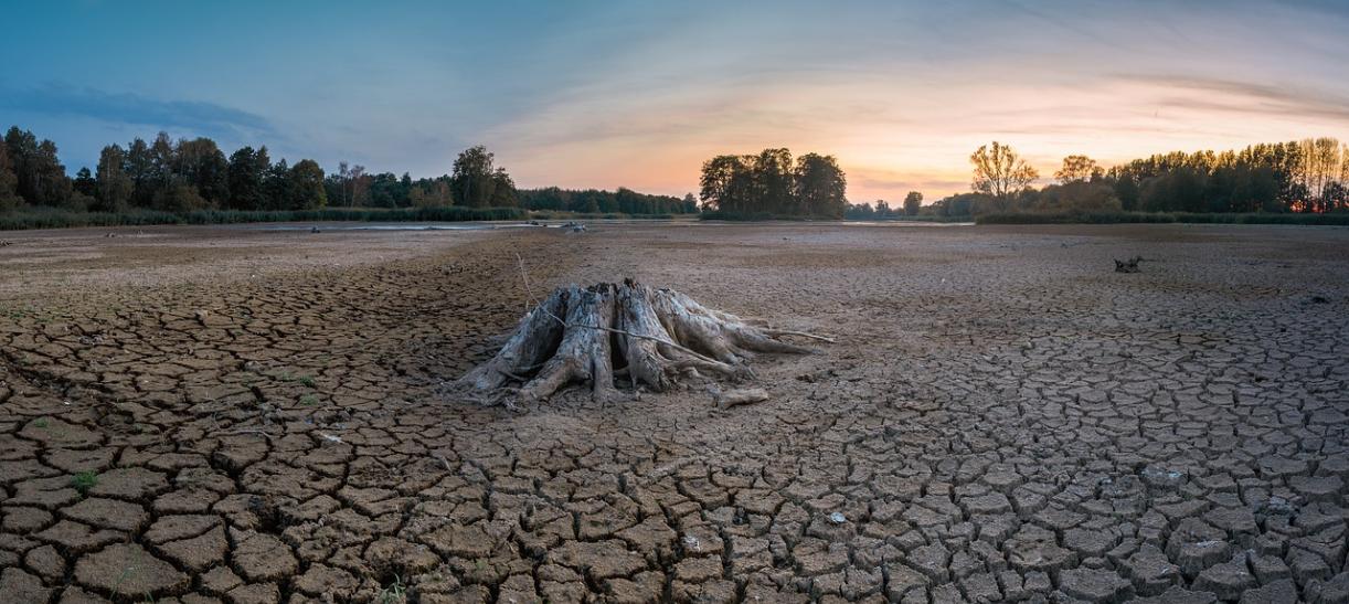 Declaran oficialmente El Niño a escala global, con probable subida de temperaturas este 2023