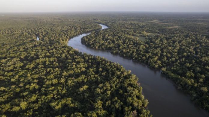 río Amazonas