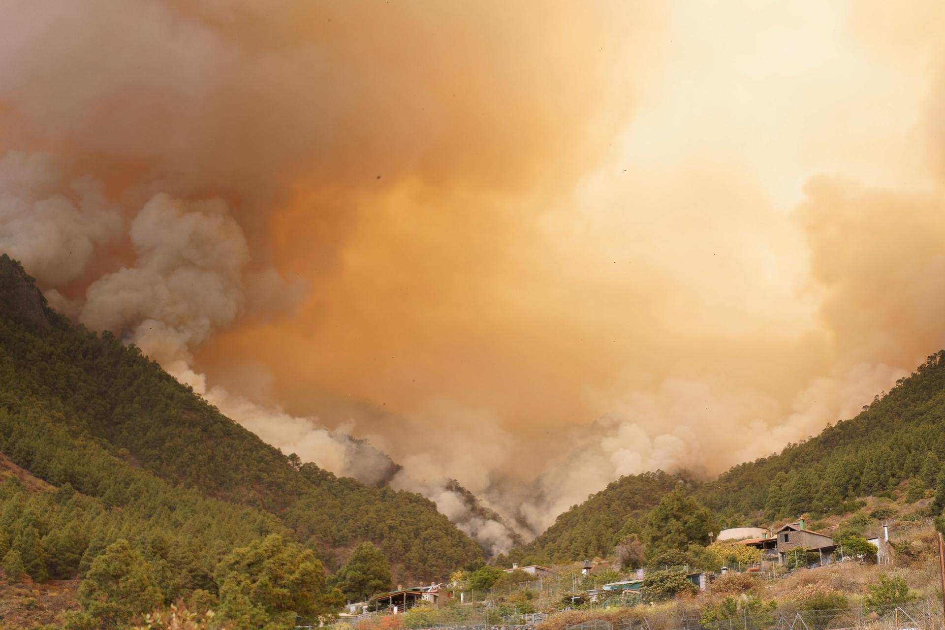 Incendio en Tenerife consume 2.600 hectáreas: autoridades cierran el Teide