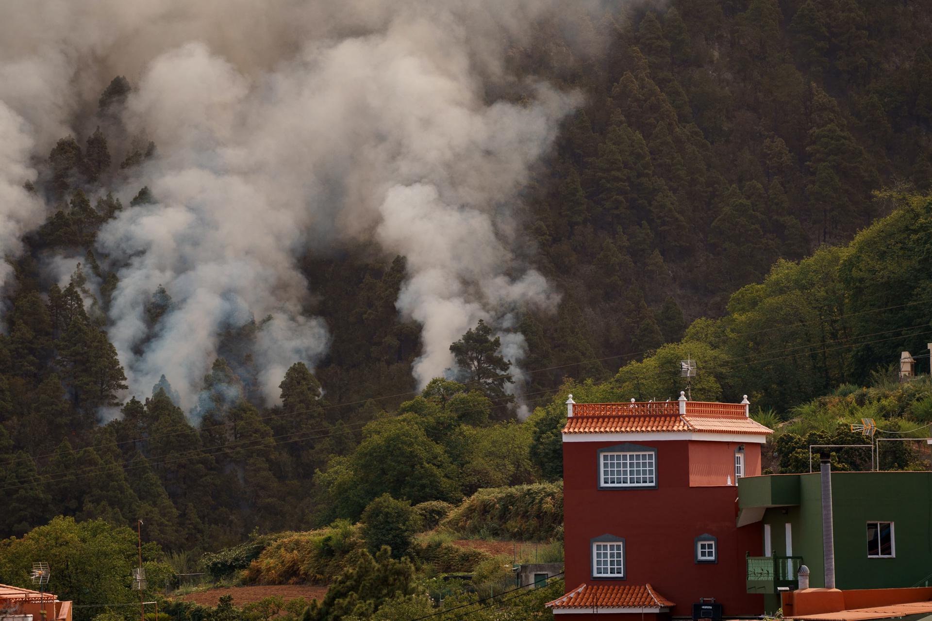 Incendio en Tenerife arrasó casi 3.800 hectáreas