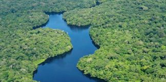 Colombia presiona a sus vecinos para frenar la extracción de combustibles en la Amazonía / Foto referencial