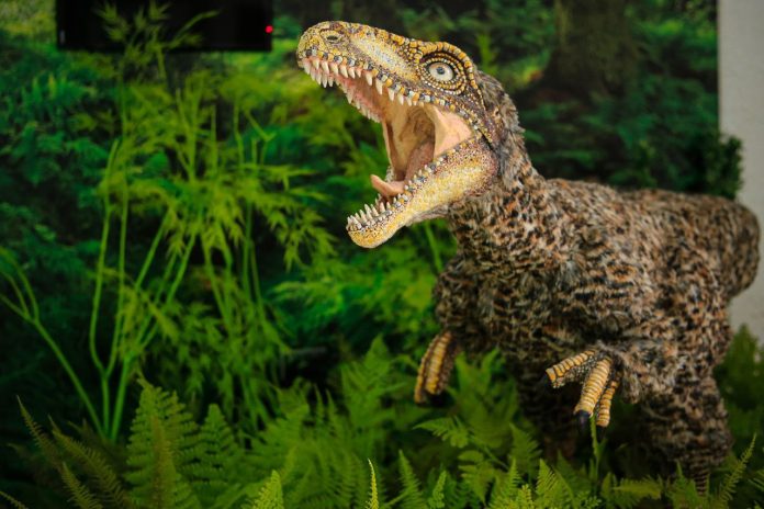 Tachiraptor dinosaurio