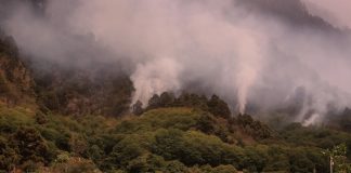 Estabilizado el incendio en isla española de Tenerife