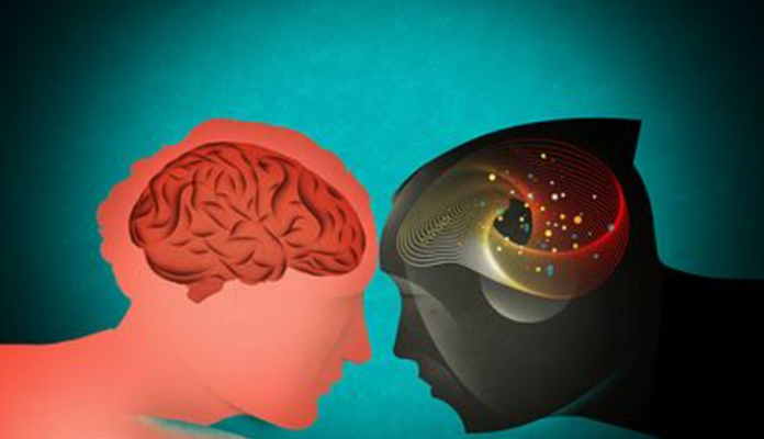 Cerebro Humano Inteligencia Artificial