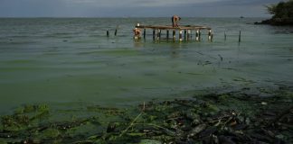 Pescadores del lago de Maracaibo sufren las consecuencias de la contaminación
