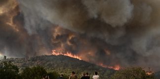Grecia enfrenta el incendio más grande del que se tenga registro en la Unión Europea
