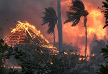 Estados Unidos declara la situación de desastre en Hawái por los incendios