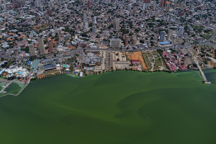 El plan para rescatar el principal lago de Venezuela contempla la ejecución de 38 obras