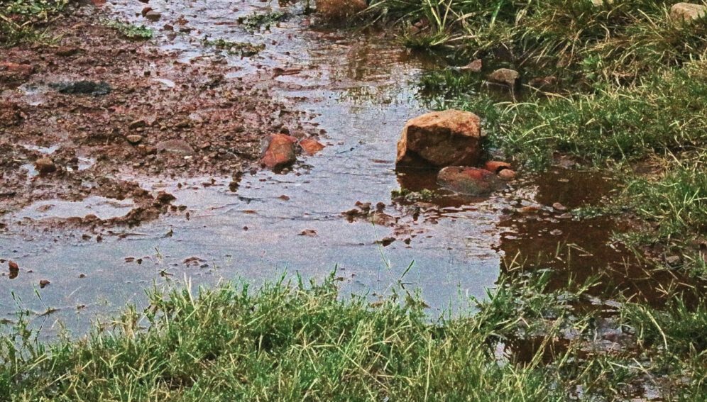 El Niño y sus cambios de clima aumentan enfermedades en Latinoamérica