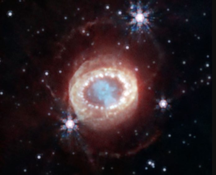Webb Supernova