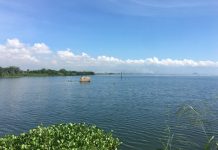Lago de Valencia es el problema ambiental más grave de Venezuela