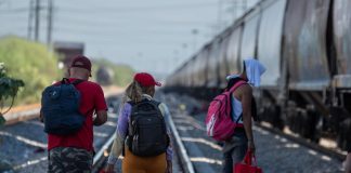 trenes migrantes México