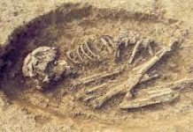 fósiles humanos