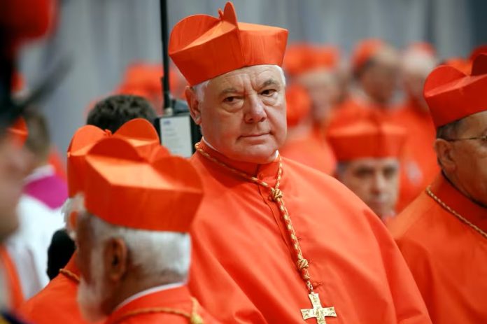 Un cardenal desafía una regla del Papa y genera revuelo en el Vaticano con sus críticas en pleno sínodo