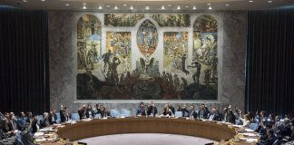ONU Ucrania Rusia Consejo