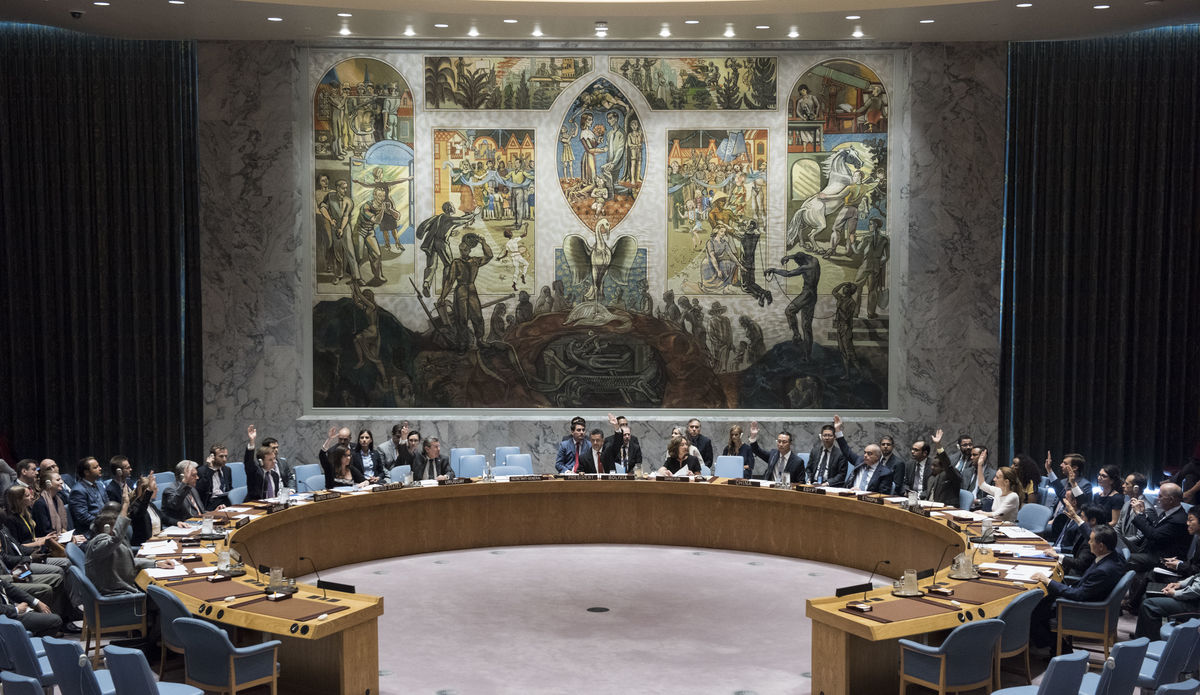 Security Council meetingMaintenance of international peace and security