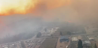 Incendios en Chile calcinaron 800 hectáreas calcinadas y 7 heridos